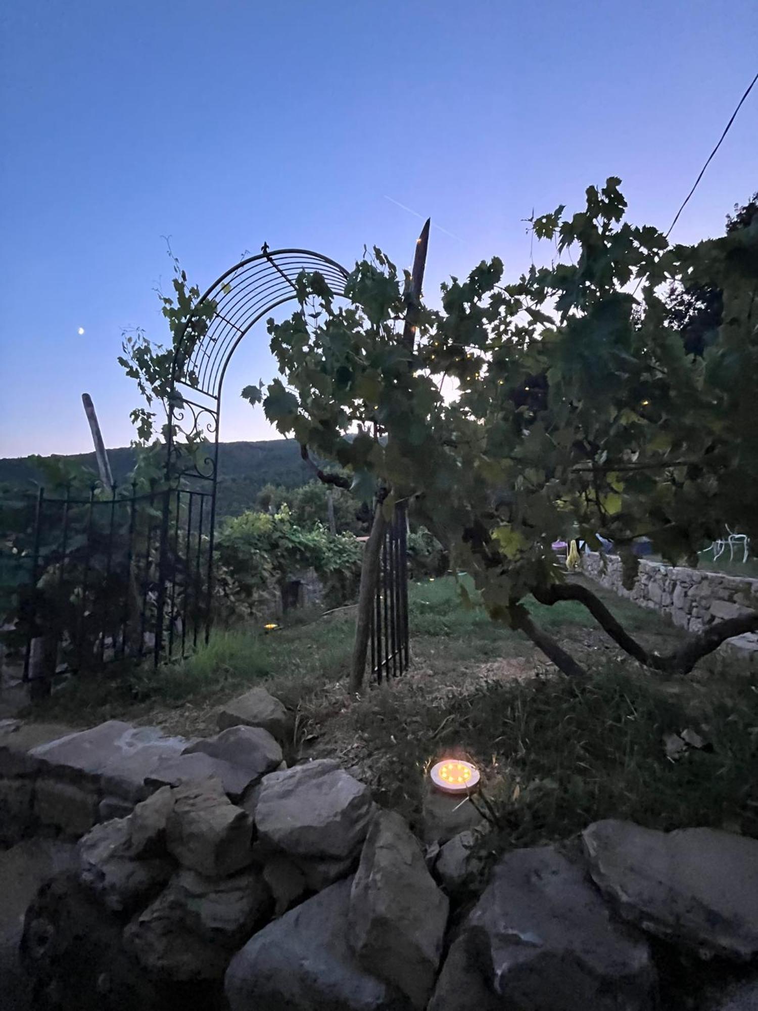 Bio Agriturismo Alba Etrusca Di Cortona - Organic Farmhouse- Appartamento Lavanda-Appartamento Rosmarino - Vasca Idromassaggio Esterna Poggioni Buitenkant foto