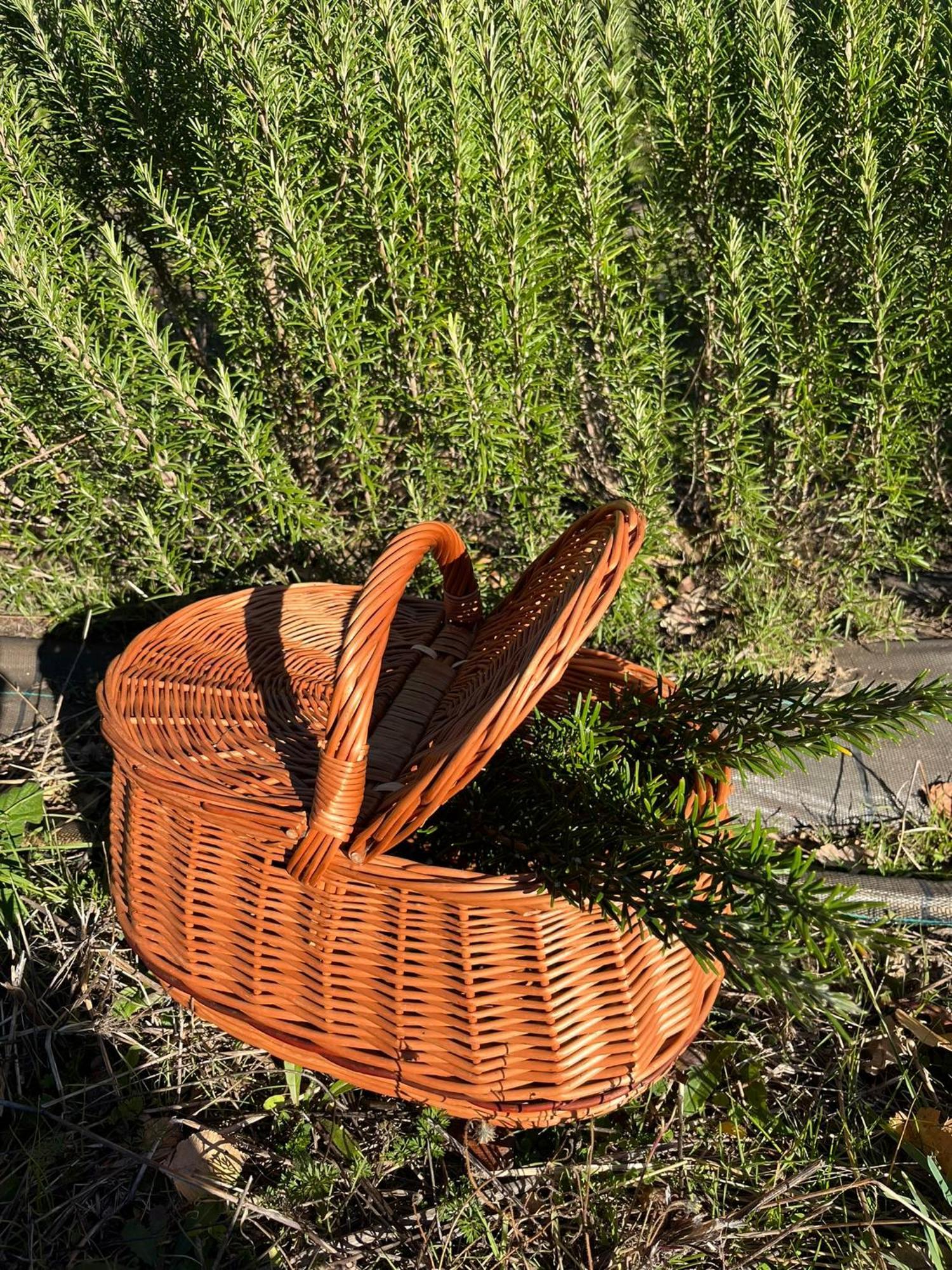 Bio Agriturismo Alba Etrusca Di Cortona - Organic Farmhouse- Appartamento Lavanda-Appartamento Rosmarino - Vasca Idromassaggio Esterna Poggioni Buitenkant foto